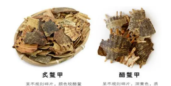 圖片[3]-小本生意大賺錢：1斤利潤20多，一天收購50-80斤，不容錯過！