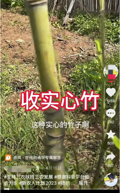 圖片[1]-農村一根15元的神奇物品，日賺4500元的秘密揭曉！