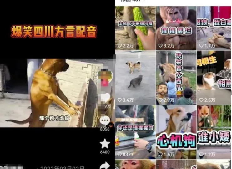 輕松月入5000!適合新手的搬磚項目推薦-資源網站