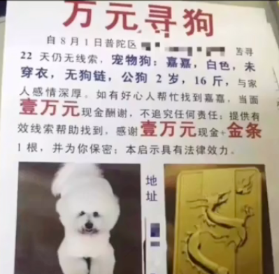 圖片[2]-驚人利潤！十個冷門生意推薦