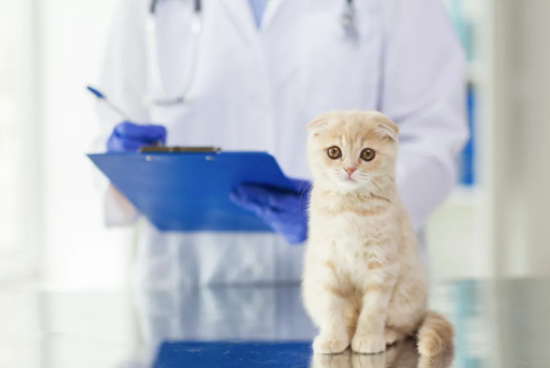 圖片[1]-1500元入手-5個月輕松賺20萬！新興行業商機值得關注！