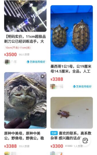 6000元買入，半年翻倍！這個(gè)小項(xiàng)目竟然如此神奇！-資源網(wǎng)站