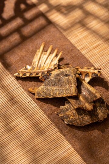 年賺幾十萬的冷門生意,每天900元輕松賺!-資源網(wǎng)站