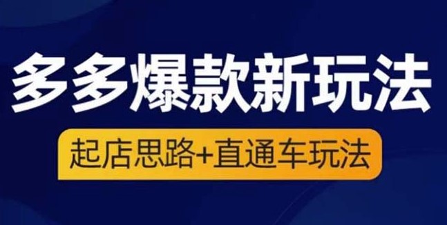圖片[1]-2023拼多多新玩法: 起店+直通車(3節精華課)