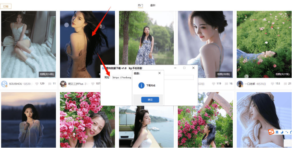 圖片[1]-輕松下載大量TC資源：TC批量下載器v1.0