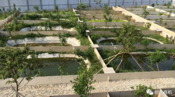 圖片[2]-冷門養(yǎng)殖項(xiàng)目年入30萬_1只動(dòng)物就能賣1260元！