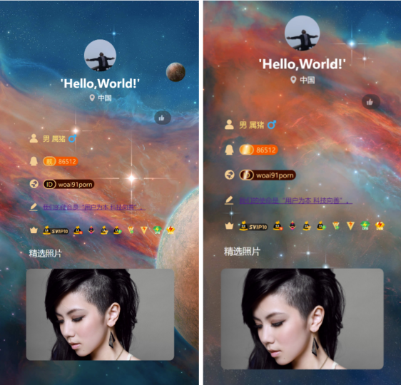 自用自適應QQ資料單頁源碼-資源網站