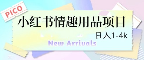 圖片[1]-最新小紅書情趣用品項目(日入過千)-資源網站