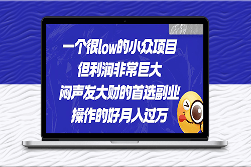 小眾項目:悶聲發財的首選副業_月入過萬-資源網站