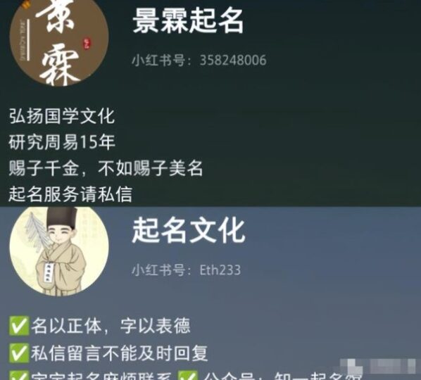 寶寶起名項目，月入1萬+保姆級教程!(附賺錢攻略)-資源網站