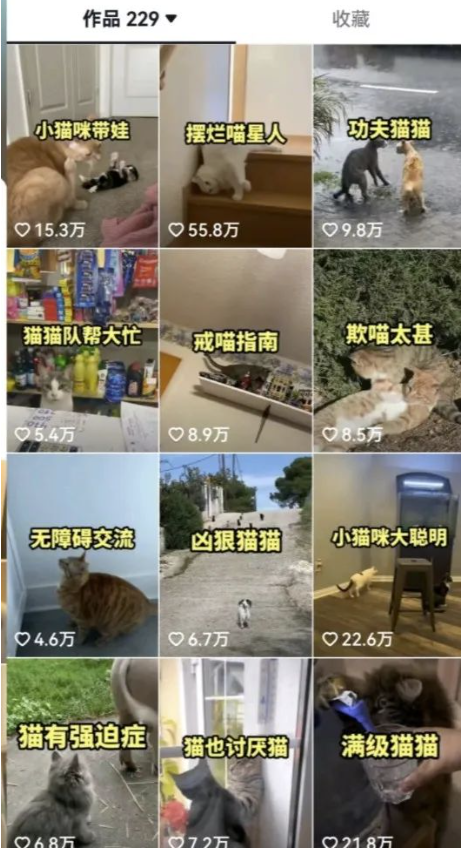 圖片[3]-拆解：抖音盤點中視頻變現副業項目_大解析分享給你-資源網站