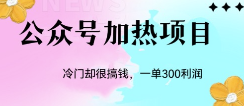 圖片[1]-揭秘冷門公眾號加熱項目-資源網(wǎng)站