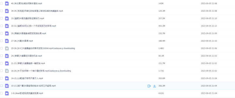 參哥短視頻流量變現實戰訓練營：14節線下課程，3天輕松掌握賺錢秘訣！-資源網站