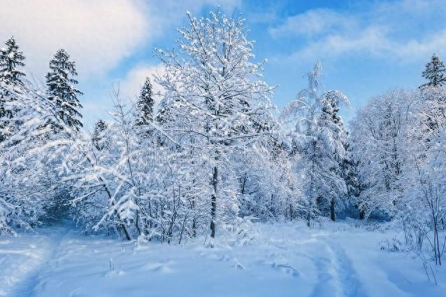 三亞之冬_竟敗給了哈爾濱的冰雪魅力-資源網站