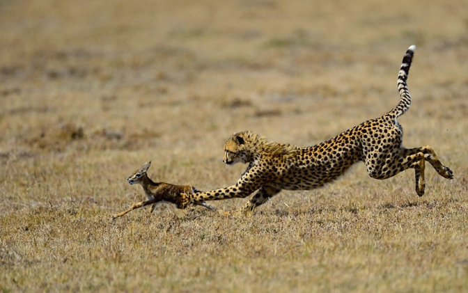 年輕女孩如何避免被“人精”男人玩弄？-資源網站