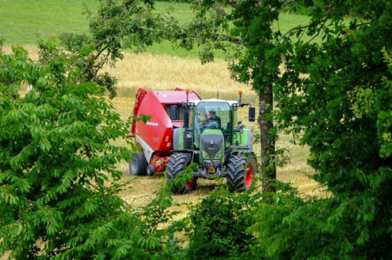 適合農村致富的小型設備？(分享農家12種致富機器)-資源網站