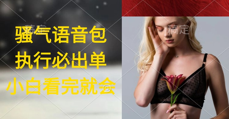 圖片[1]-超火騷氣語音包_實操教程_日入2000+執行即出單-資源網站