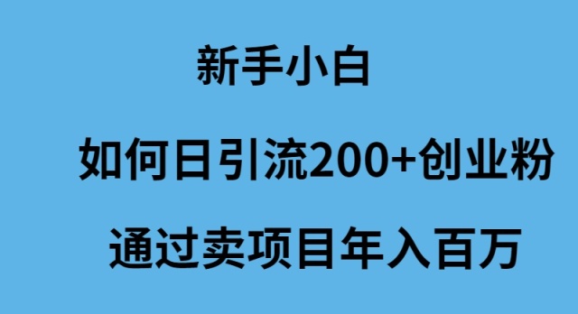 圖片[1]-新手小白如何日吸200+創(chuàng)業(yè)粉絲_賣項目年入百萬-資源網(wǎng)站