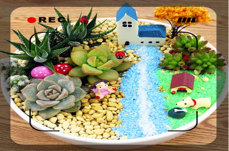 在家創業加工，掙錢的家庭小作坊項目推薦-資源網站