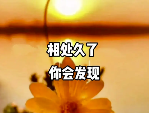 如何辨別一個人的善良與真誠-資源網站