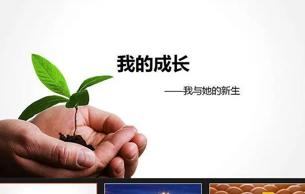 社交媒體與現實:我們對成功的誤解-資源網站