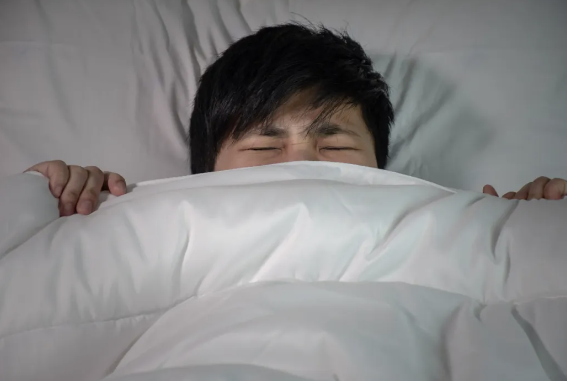 圖片[1]-一根網線年賺百萬？這才是真正的網賺！-資源網站