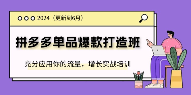 圖片[1]-2024最新拼多多單品爆款打造班：流量運用與實戰增長全攻略-資源網站