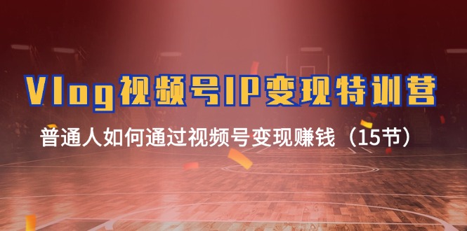 圖片[1]-Vlog視頻號賺錢：普通人如何快速實現IP變現-資源網站