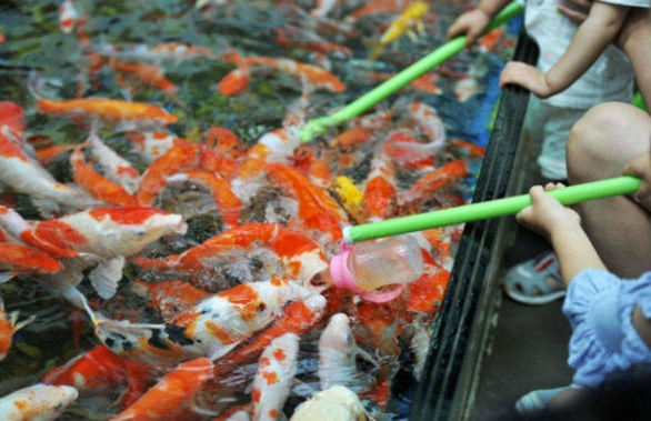 火了很多年,月利潤3W+的暴利項目-資源網站