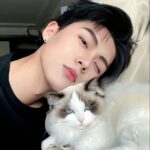 陌生的頭像-資源網站