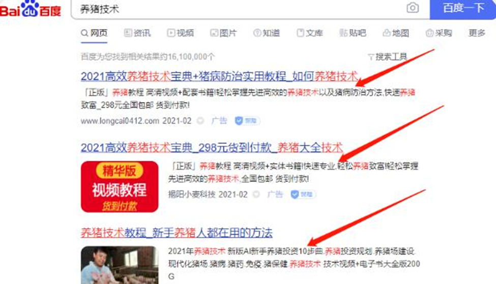 圖片[1]-賣養豬技術長期可操作的藍海暴利項目