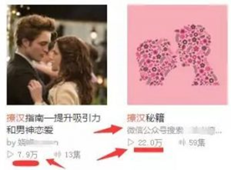 這個項目冷門暴利日賺1000穩穩的-資源網站