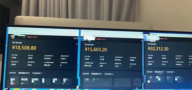 圖片[2]-視頻號帶貨：三個月賺一年收入的風口項目_單日收入突破3000元