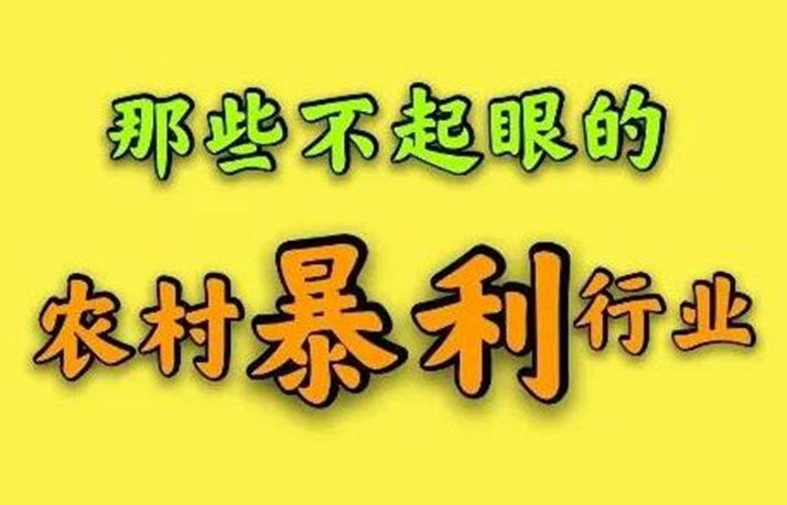 圖片[1]-農村適合普通人的暴利行業（幾種利潤非常高的小項目）