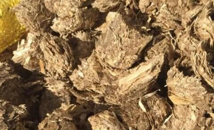 圖片[2]-農村適合普通人的暴利行業（幾種利潤非常高的小項目）