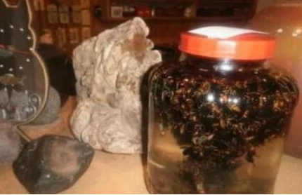 偏門暴利行業:農村大叔飼養虎頭蜂60天賺600萬-資源網站