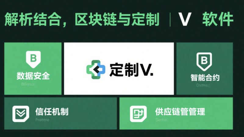 最新技術動態:區塊鏈與定制V軟件的結合-資源網站