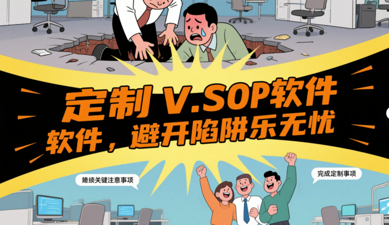 如何評估定制V軟件的成本效益？-資源網站