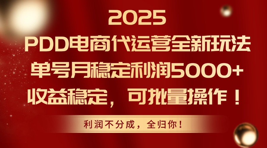 圖片[1]-2025年PDD電商代運營新玩法：月入5000+_批量操作_穩定收益