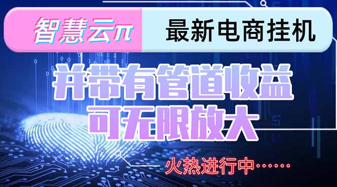 智慧云π電腦掛機單機輕松日賺300-500+_團隊管道收益可無限放大_輕松賺錢秘籍-資源網站