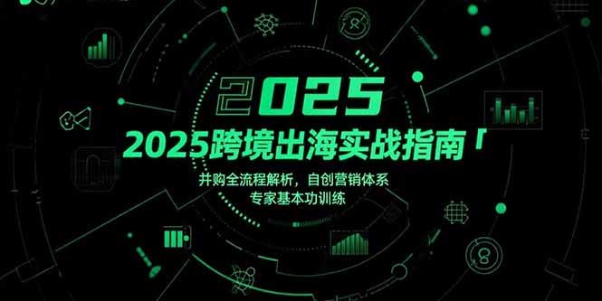 2025跨境出海攻略：并購全流程深度解析+自創營銷體系實戰與專家基礎訓練-資源網站
