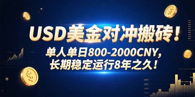 USD美金對沖搬磚:單日賺800-2000CNY_穩定運營8年_教你如何長期盈利-資源網站