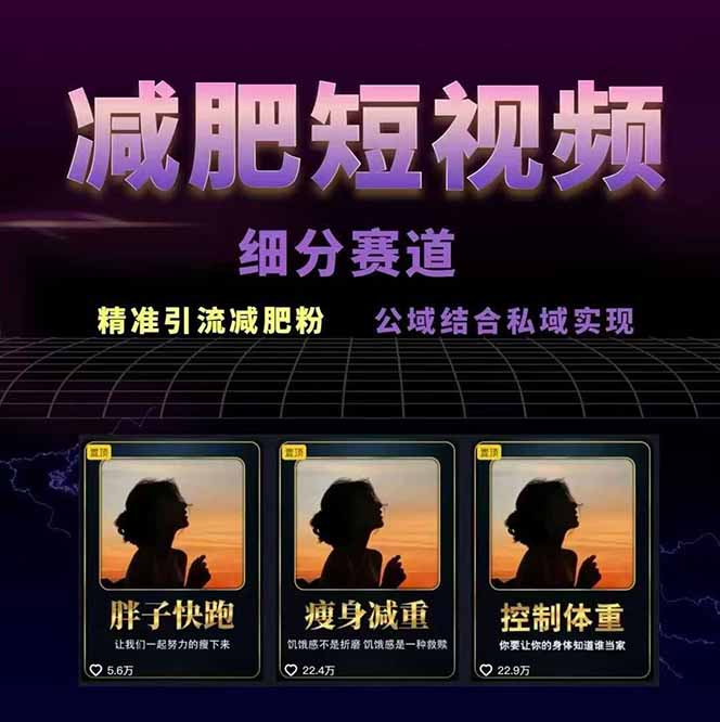 圖片[2]-減肥短視頻運營秘籍：素材準備-視頻制作到引流變現-快速打造流量爆款