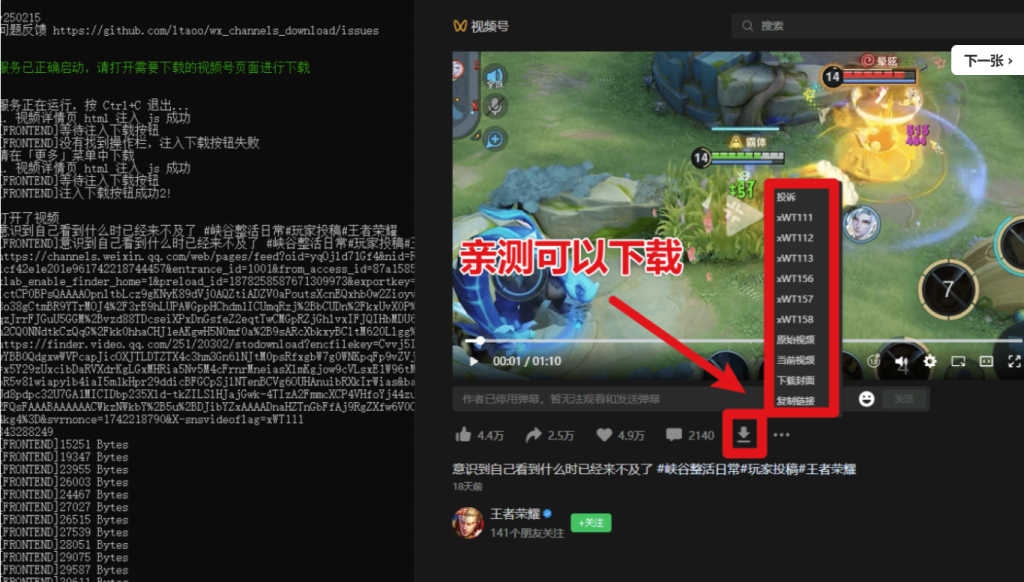 圖片[3]-2025最新版視頻號下載器-輕松一鍵下載直播回放-MP4格式保存-操作簡便