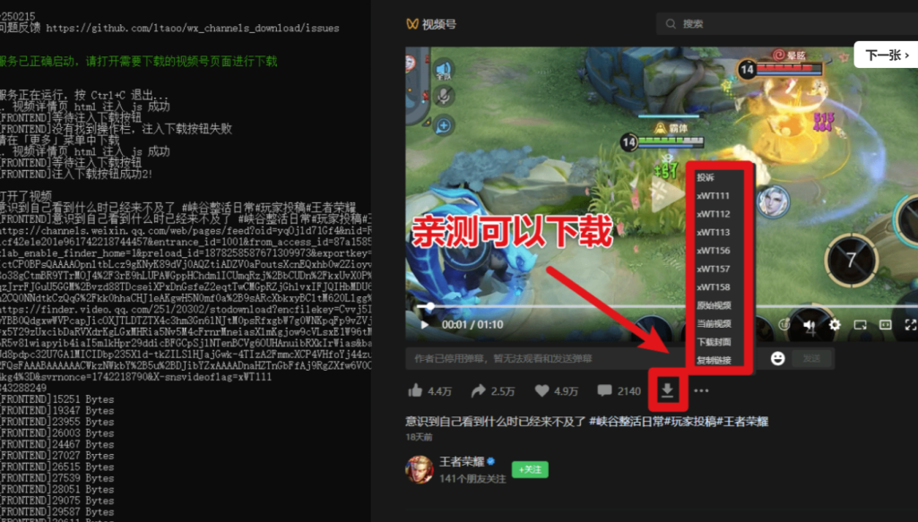 圖片[4]-2025最新版視頻號下載器-輕松一鍵下載直播回放-MP4格式保存-操作簡便