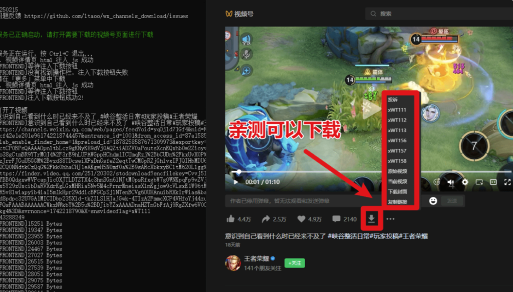 圖片[6]-2025最新版視頻號下載器-輕松一鍵下載直播回放-MP4格式保存-操作簡便