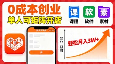 虛擬玩法選拼多多：低試錯-高回報的賺錢捷徑-資源網站