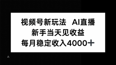 AI直播輕松入門-月入4000+_新手小白也能快速見效-資源網站