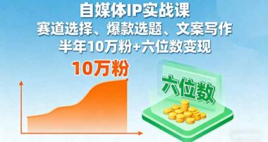 個人IP打造秘籍：11節課讓你流量與收入雙豐收