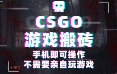 CSGO撿漏新風口-手機操作也能賺大錢-資源網(wǎng)站